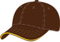 FRONT VIEW OF BASEBALL CAP BROWN/GOLD